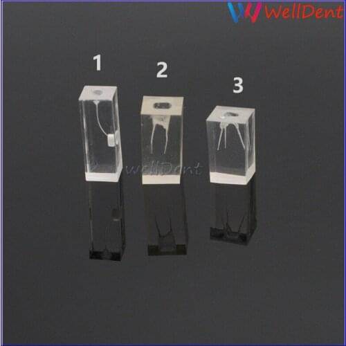 Dental Teeth Model School Resin Endodontic Student Study Teaching Practice Operation Tooth Model Dental Lab