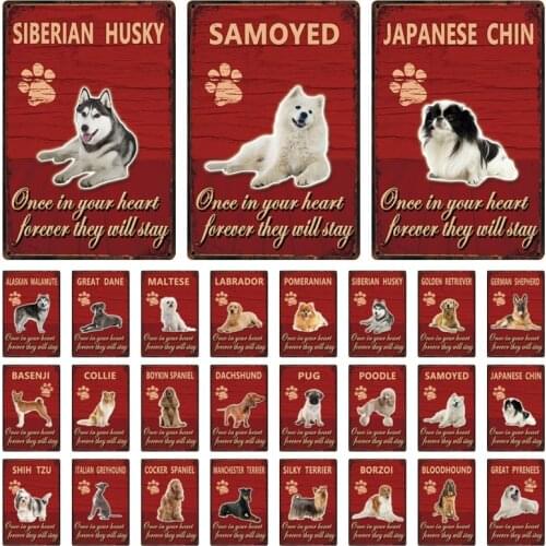 [ Kelly66 ] Pets Dog Collie Labrador Silky Terrier Basenji Metal Sign Home Decor Bar Wall Art Painting 20*30 CM Size Dy143