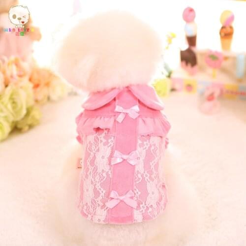 Pet Clothing For Small Dogs Dog Clothes Lace Bowknot Velvet Coat Chihuahua Puppy Costume Autumn And Winter Cat Vest Pink Blue