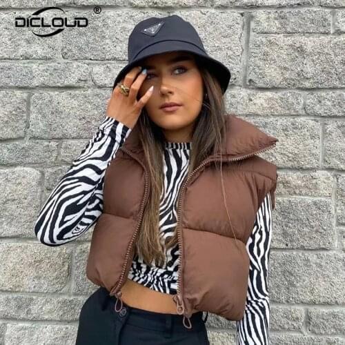 Autumn 2021 Cropped Vest Jacket Women Winter Sleeveless Padded Coat Parkas Y2k Girls Street Fashion Stand Collar Waistcoat Femme