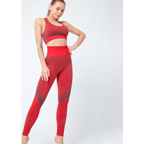Fitness Running Suit Woman Tracksuit Gym Sports Wear Women Fitness Clothes Push Up Shockproof Bra Workout Leggings Set