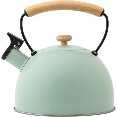 Pot Stove Kettle Tea Kitchenware Boil Aqua Stainless Steel Food Grade 3L Quick Boiling Cold Touch Handle Green Hot Water