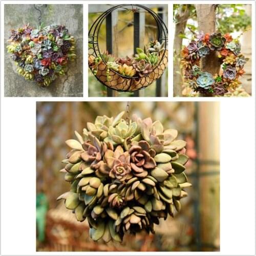 26cm MagiDeal Iron Wire Wreath Frame Succulent Pot Metal Hanging Planter Plant Holder-Home/Cafe/Wedding/Party Decor Geart Gift