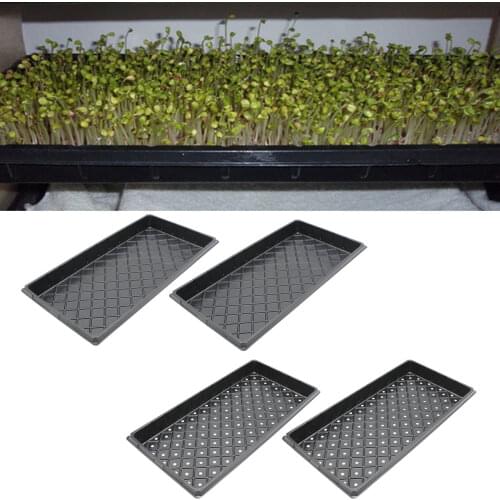 Семена Behogar China At AliExpress