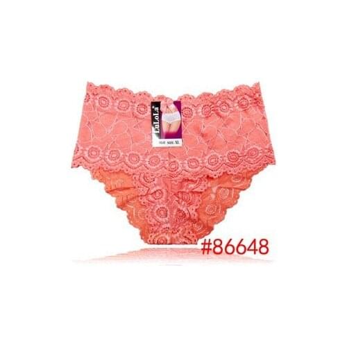 XL,2XL,3XL New Fashion Womens Panties Transparent Underwear Women Lace Soft Briefs Sexy Lingerie Hot Sale Lace Briefs Retail