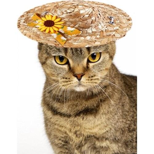 Pet Cat Dog Beach Party Straw Cap with Daisy Decoration Summer Woven Sun Hat for Outdoor Puppy Kitten Supplies, 4 Colors