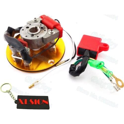 Gold Racing Magneto Stator Rotor Ignition CDI Box For Chinese Lifan YX 110cc 125cc 140cc Engine Pit Dirt Motor Bike