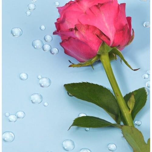 2020 new Simulation dewdrop waterdrop Card Making Decor Accessories Metal Cutting Dies and Stamps Scrapbooking Embossing Decor