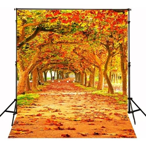 Autumn Leaves Backdrops Photographic Backgrounds Children Photo Backdrops Toile De Fond Backdrops Vinyl Backgrounds For Photo St