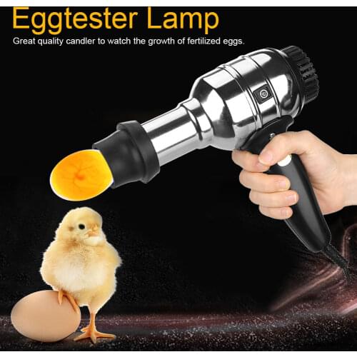 Rechargeable LED Candler Egg Tester Light Dedicated Eggtester Incubator Equipment EU Plug 220V