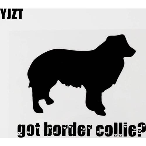 YJZT 13.6CM×11CM Got Border Collie? Fun Vinyl Animal Decal Car Sticker Black/Silver 8C-0552
