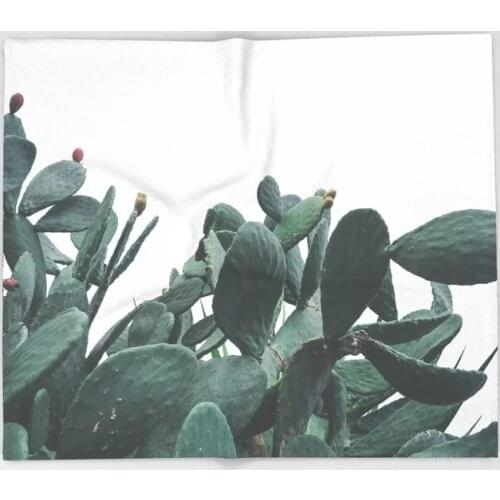 Tropical Plants Throw Fleece Blanket Fruit Cactus Desert Blanket Fashion Popular Adult Travel Beds for Kid Gift Quilt Drop Ship