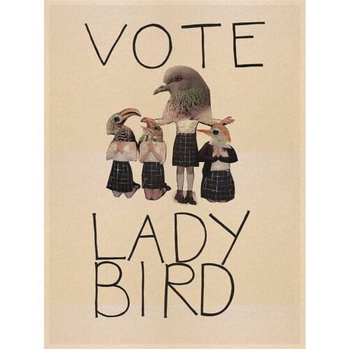 Lady Bird Movie Greta Gerwig Film Saoirse Ronan Printed Fabric 11CT Cross-Stitch Embroidery Complete Kit DMC Magic