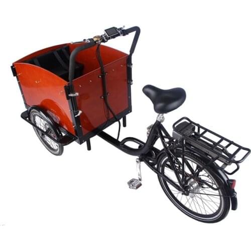 3 Wheels Pedal Electric Cargo Bike Dutch Adult Tricycle Family Bicycle Street Kids Scooter for Sale Customizable