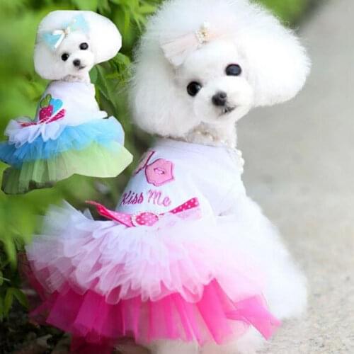 Dog Clothes for Small Dogs Dress Spring Summer Puppy Small Dog Lace Princess Chihuahua Dog Party Pet Supplies
