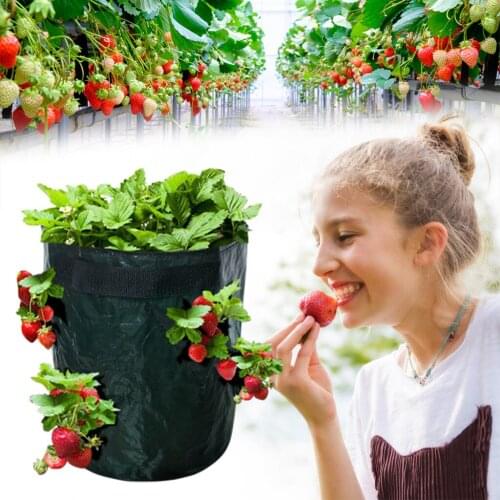 DIY Strawberry Planter PE Cloth Planting Container Bag Garden Pot Vegetable Growing Bags Moisturizing Vertical Garden Bag