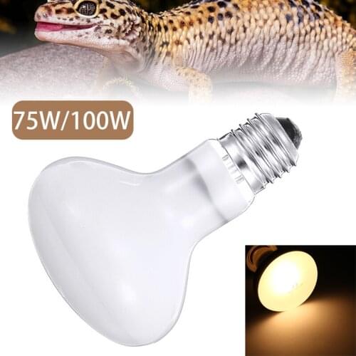 75/100W E27 Heating Lamp UVA Day Night Lamp Bulb Pet Amphibian Amphibian Snake Lamp Reptile Bulb Light