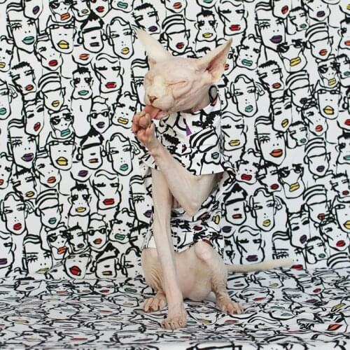 Sphinx hairless ins cat custom cotton cat anti-hair clothes Canadian masturbation fashion clothes pet vest cat outfit clothing