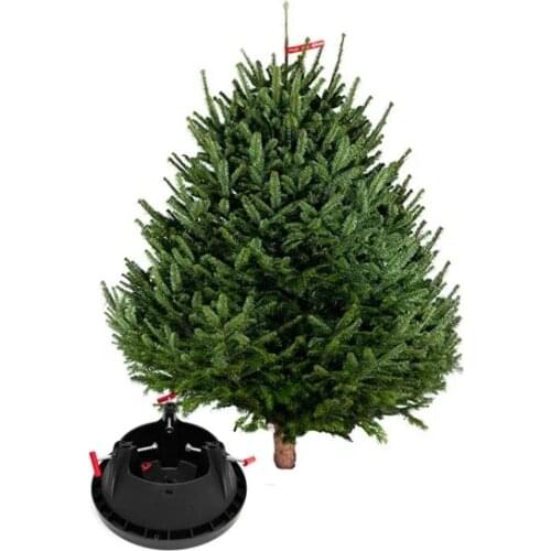 Живые ёлки Home And Garden Products