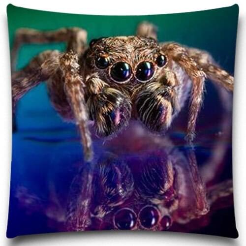 Spider/Frog Square Cushion Cover For Sofa Decorative Throw Pillow Case Cotton/polyester Sofa Decor Couch