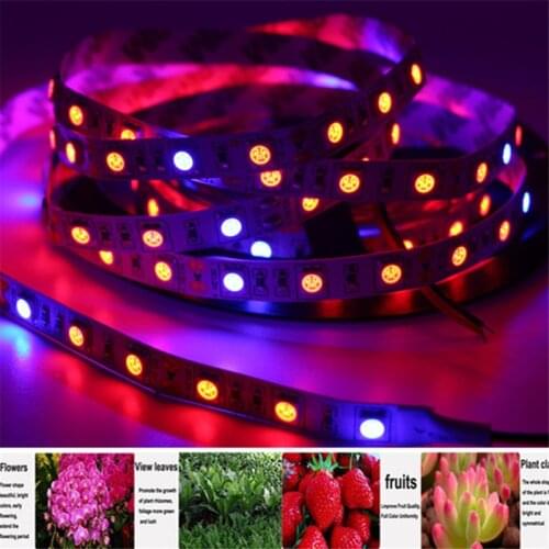1m 2m 3m 4m 5m LED Plant grow Lamp strip grow light Waterproof 5050 60leds/m DC 12V SMD Hydroponic Systems spectrum Greenhouse