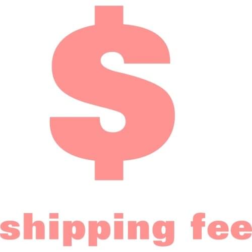 Extra Fee For Express Shipping