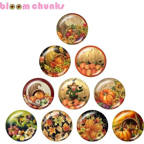 Thanksgiving pumpkin Hummingbird 12mm/18mm/20mm/25mm Round photo glass cabochon jewelry flat back Making findings Y1088
