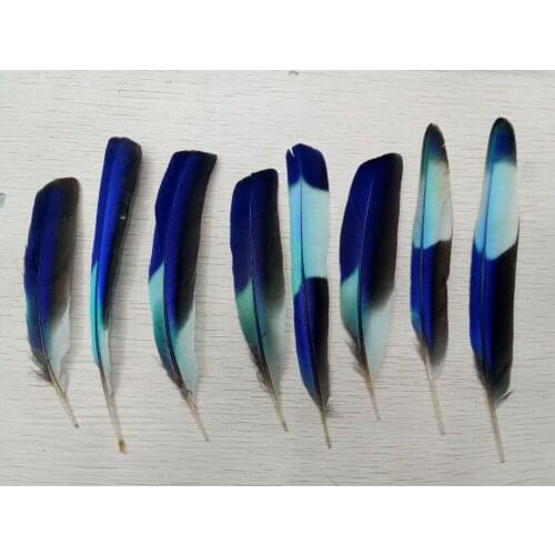 Wholesale the sale of 20 pieces 12-17 cm kingfisher feathers, diy jewelry decorative accessories