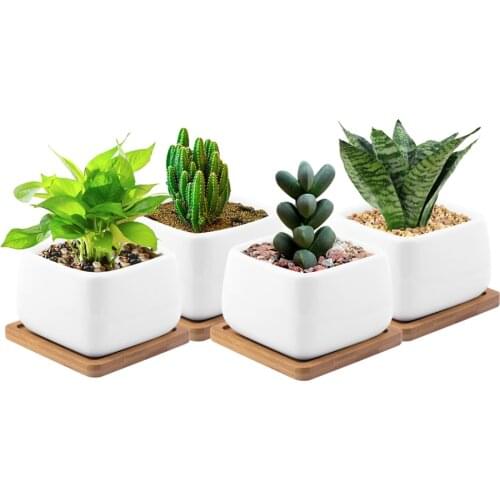 2/4/6pcs White Ceramic Succulent Plant PotMini Glazed Geometric Bonsai Planter Desktop Porcelain Flower Pot Home Decor