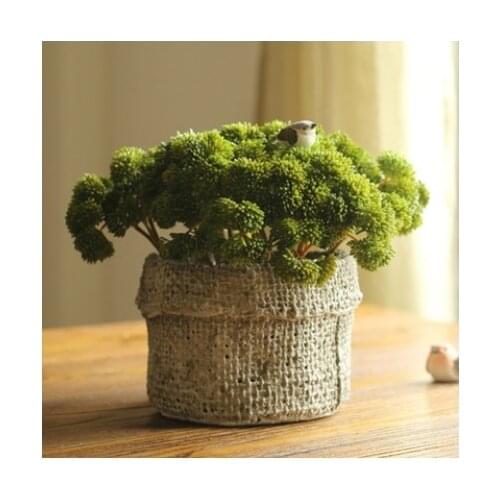 5 pcs/lot) 2015 A small fleshy green succulent plants simulation flowers