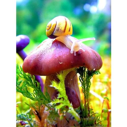 Full Square Round Drill 5D DIY Diamond Painting Mushrooms Snails 3D Embroidery Cross Stitch Mosaic Rhinestone Home Decor Gift