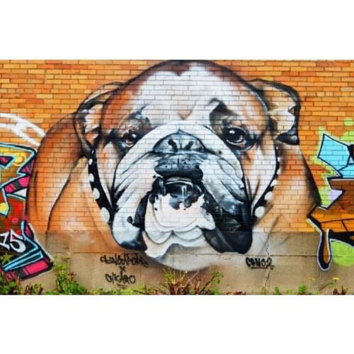 Full square round drill 5D Diy diamond painting Graffiti Bulldog Street Diamond embroidery rhinestone mosaic home decoration
