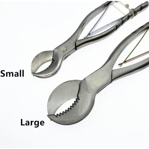 Dental Plaster Scissors Dental Lab Gypsum Scissors Large Small Dental plaster tools