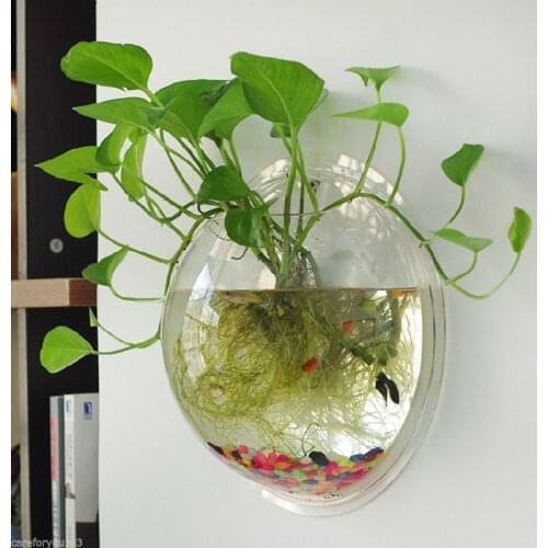 Home Semicircular Wall Hanging Vase Acrylic Hydroponic Terrarium Fish Tank Plant Flower Home Decor Wedding Decoration