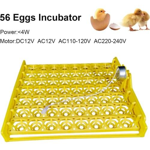 Egg Incubator Automatic 56 Plastic Eggs Chicken Eggs Hatching Machine 220V Incubator Trays with Auto Turn Motor
