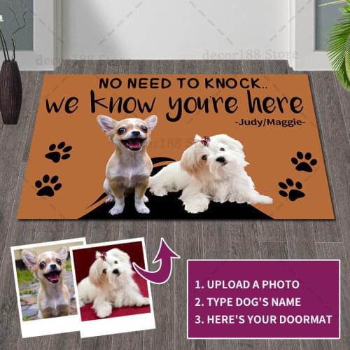 Custom Doormat Best GiftsText Name Personal Pet Dog Cat Photo No Need to Knock We Know You Are Here Door carpet Mat Kitchen Rug