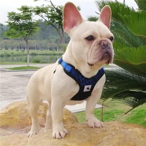 Dog Harness Breathable Mesh No Pull Vest for Small Medium Adjustable Light Weight French Bulldog Outdoor Convenient Practical