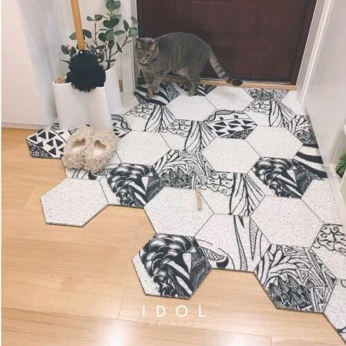 MiSTO Entrance Carpets For Home