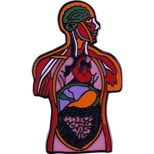 Dissects Human System Organ Gothic Health Awareness Anatomy Human Body Metal Enamel Lapel Coats Badge Brooch Pin Accessories