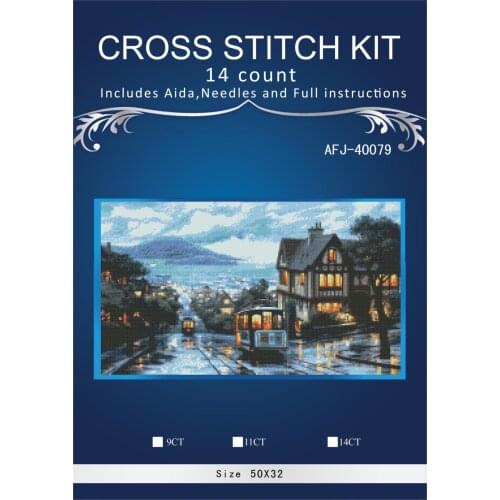 11/14/16/18/27 Cross stitch Set Lovely Counted Cross Stitch Kit Colorfully Rainy night dim DMC ANCHOR