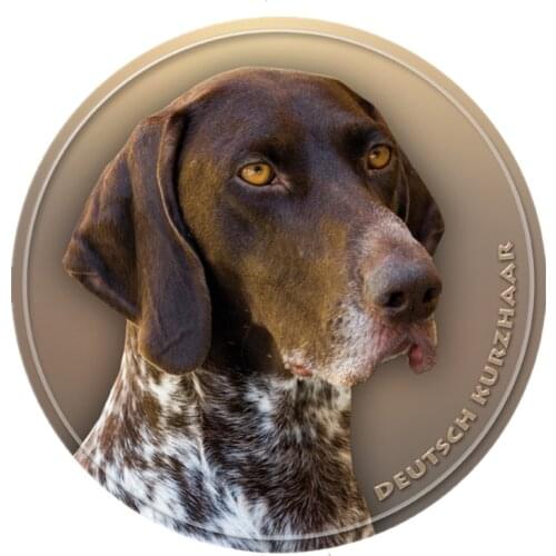 S40418# Various Sizes PVC Decal Kurzhaar Dog V1 Car Sticker For Bumper Rear Window Laptop Refrigerator Toilet