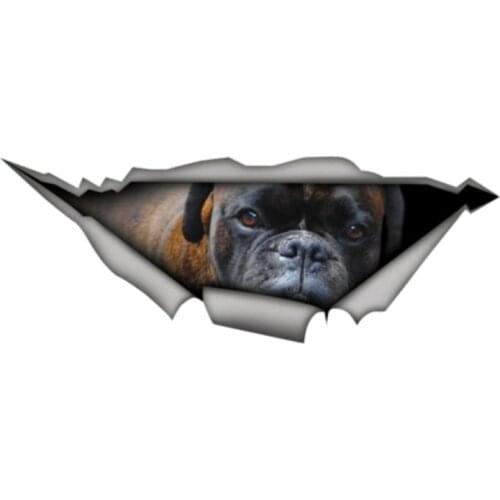 Interesting Car Sticke Brindle German Boxer Car Window Motorcycle Decal Accessories Waterproof PVC 13cm X 5cm