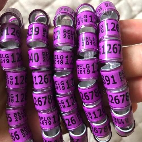 2019 purple BELG pigeons rings bird ring