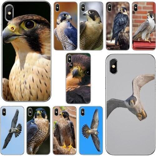 Soft Bag Case For Huawei Mate 20 30 40 7 8 9 10 Lite Pro P Smart 2018 2019 Plus G7 G8 Peregrine-Falcon-fastest-animal-Birds