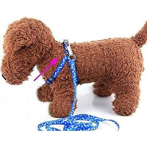 Dog Cat Harness Collar Leash Puppy Walking Running Lead Nylon Rope Fashion Bones Paws Print Safety Traction Rope