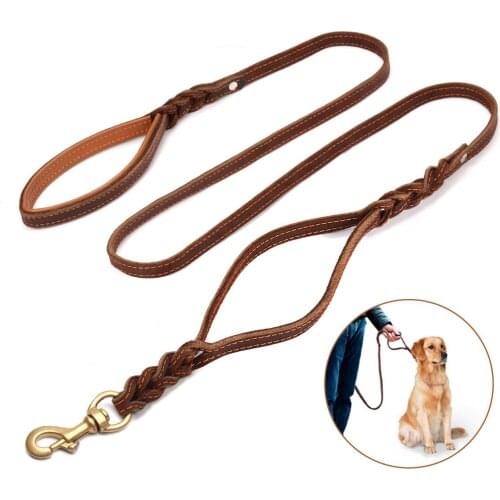 Focuspet Leashes For Dogs