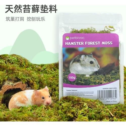 Hamster Cage Landscaping Supplies Djungarian Hamster Dry Moss Padding Guinea Pig Avoiding Decorative Padding DIY