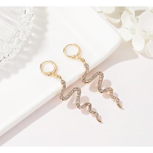 2020 Fashion Long Serpentine Snake Tassel Stud Earrings for Womens Punk Style Animal Earrings， Climber Ear Jewelry dropshipping