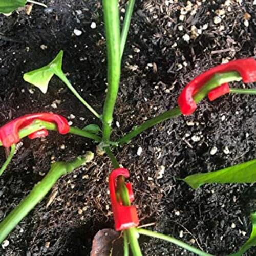 30pcs Plant Branches Bender 90 Degree Plant Bender Trainer For Low Stress Training Plant Training Curved Plant Holder