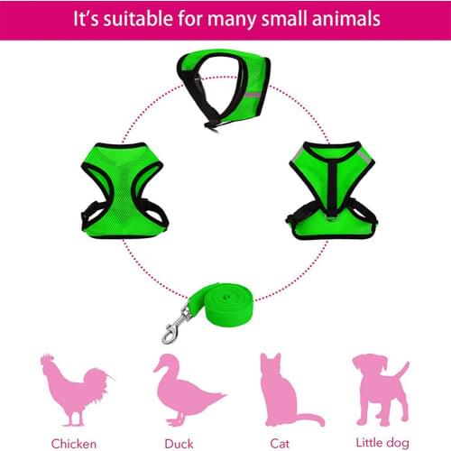 Туристические жилеты Non-metal deviss China At AliExpress